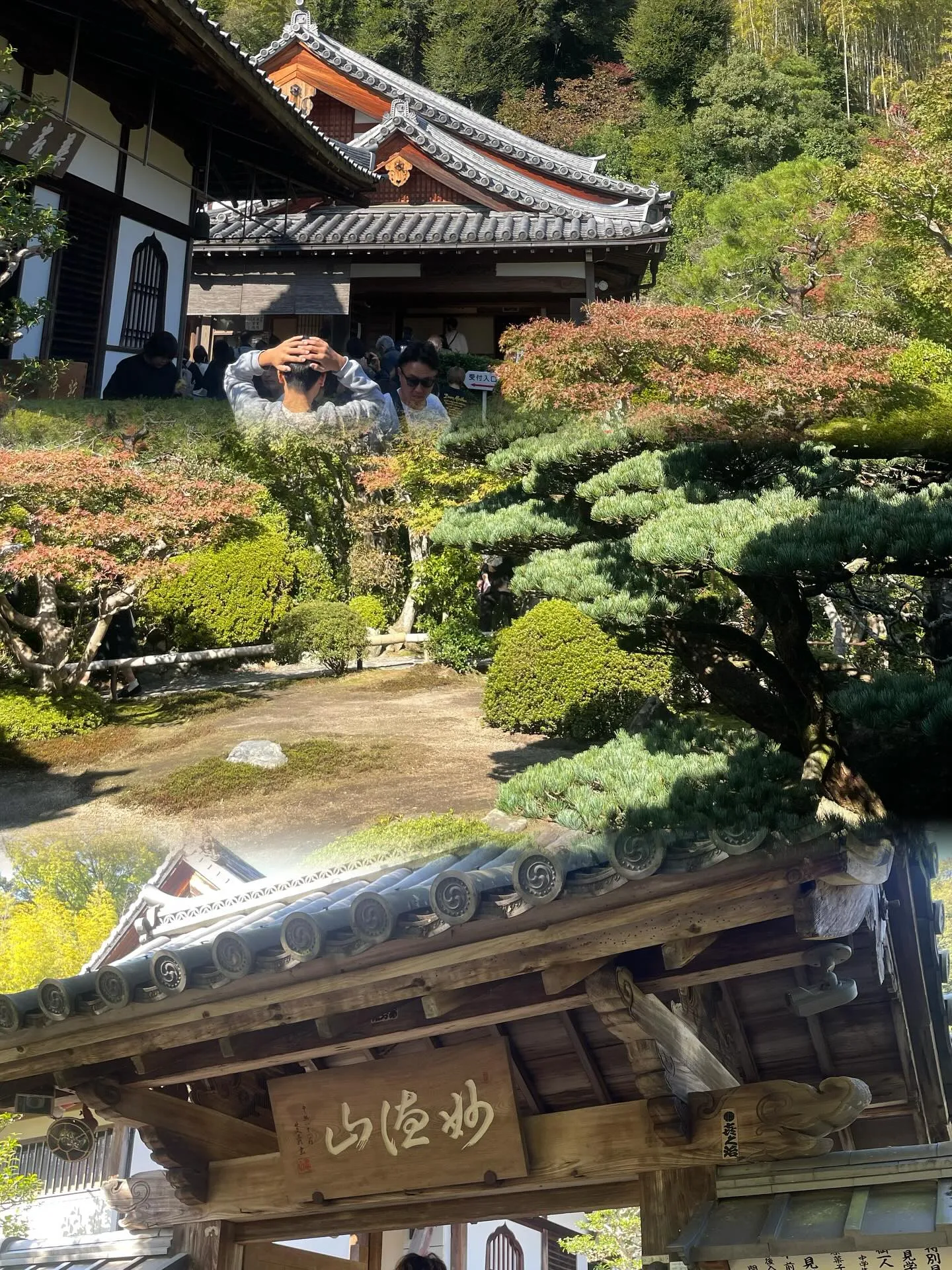 📍京都 鈴虫寺