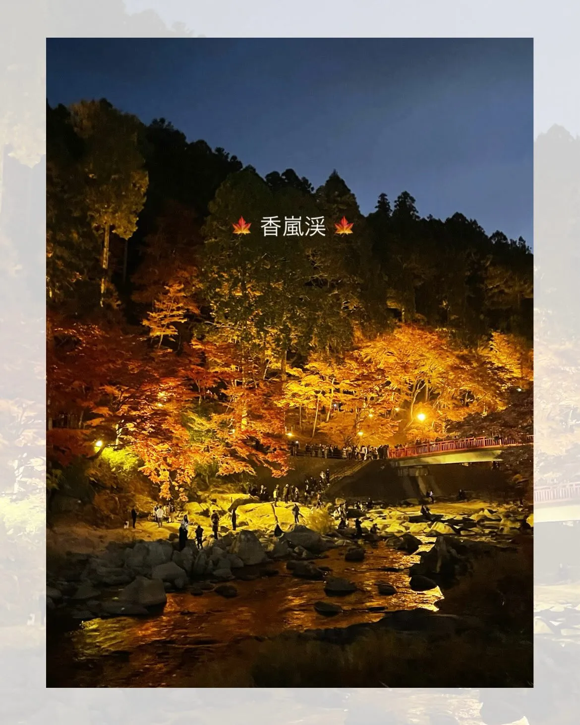 今年も香嵐渓に行ってきました🚗³₃