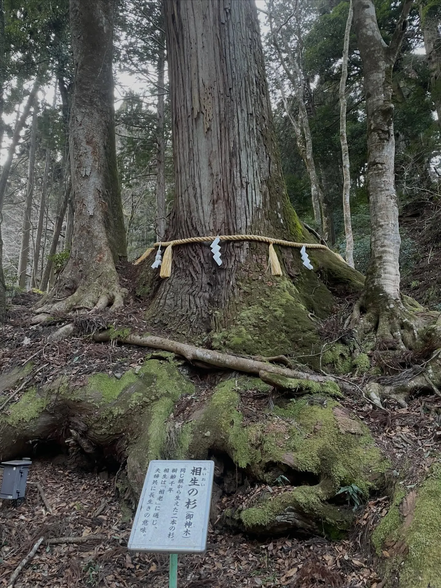 水の神秘が息づく京都の聖地
