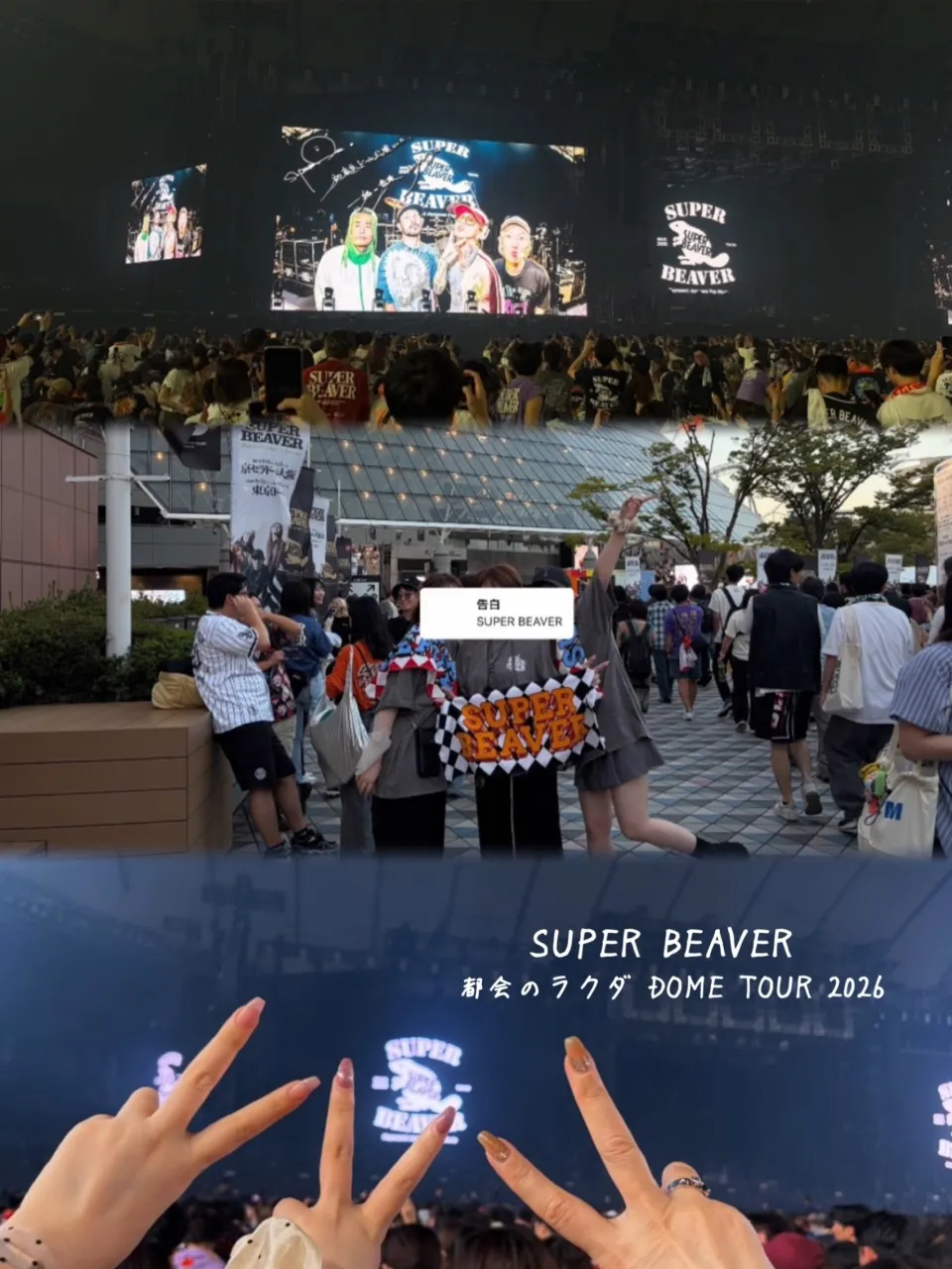 SUPERBEAVERの単独ドーム公演参戦2回目🦫