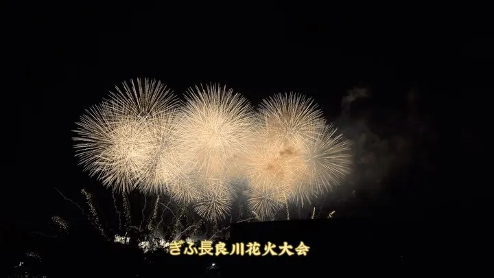 久々に花火を見にぎふ長良川花火大会に🎇
